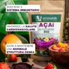 Açaí En Polvo Bio 100g