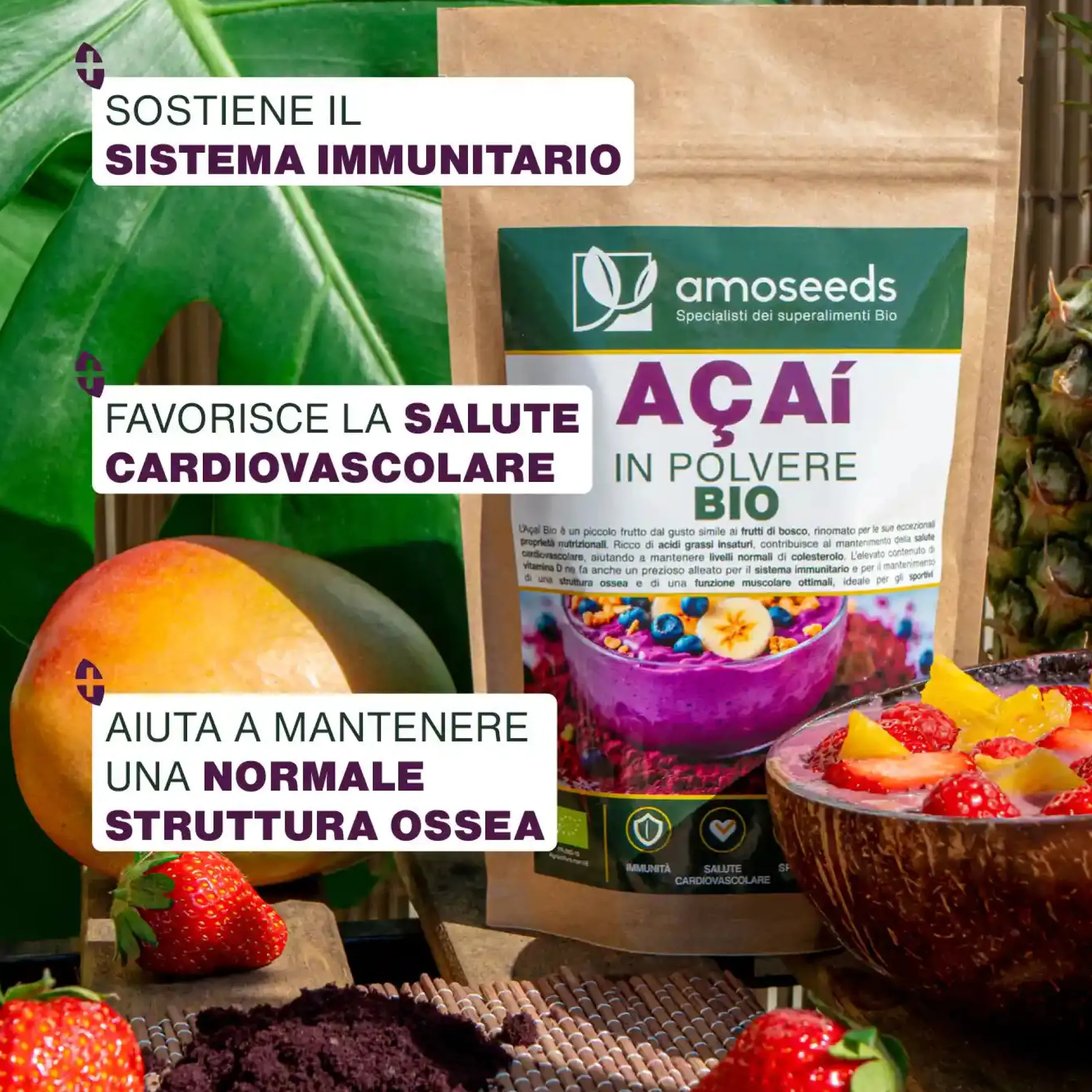 Açaí En Polvo Bio 100g