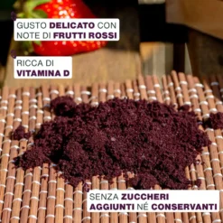 Açaí En Polvo Bio 100g