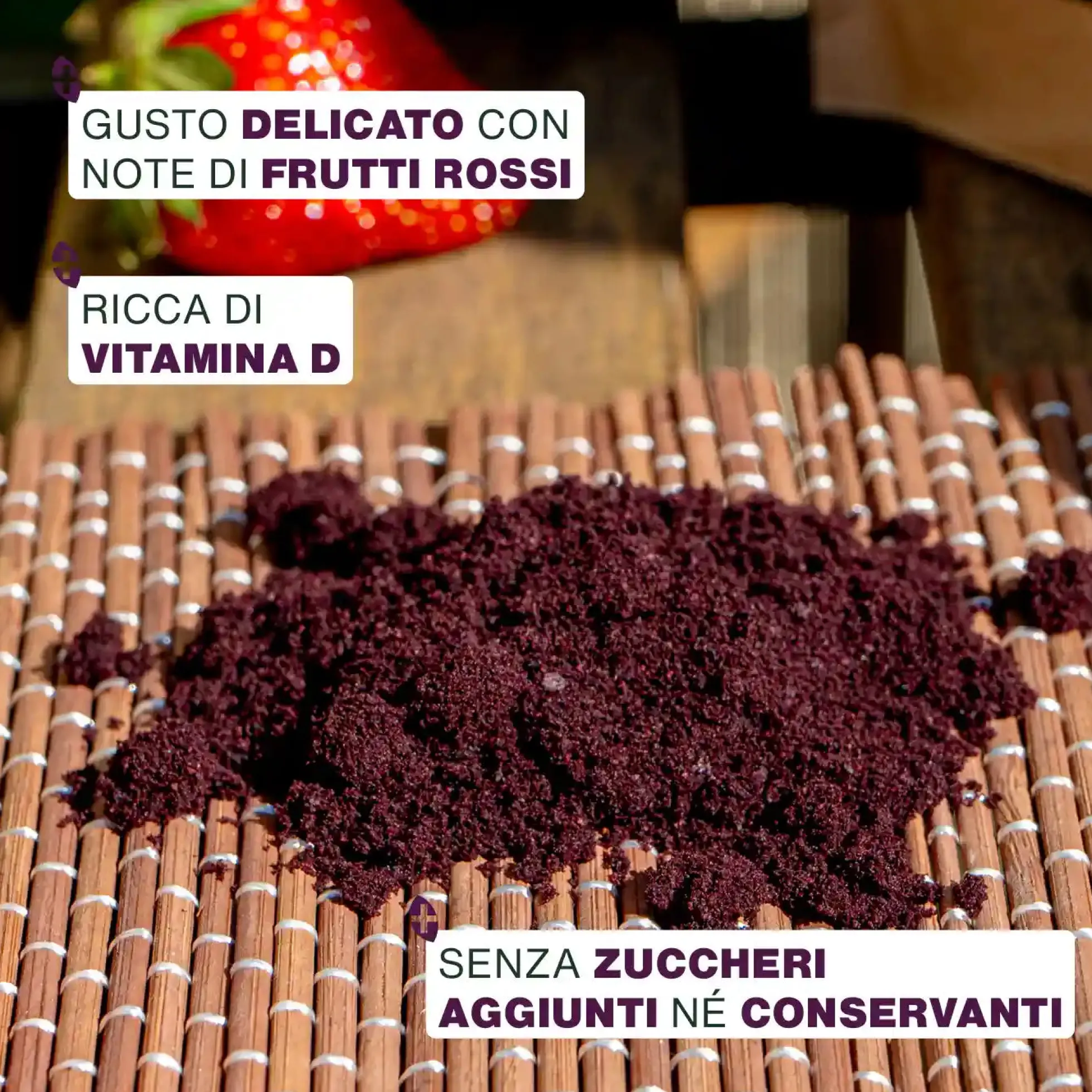 Açaí En Polvo Bio 100g