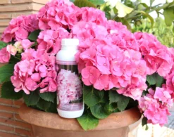 Abono Hortensias Líquido Ecológico Cultivers 5 L