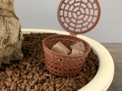 Abono Japonés Especial Para Bonsái Biogold - 900g