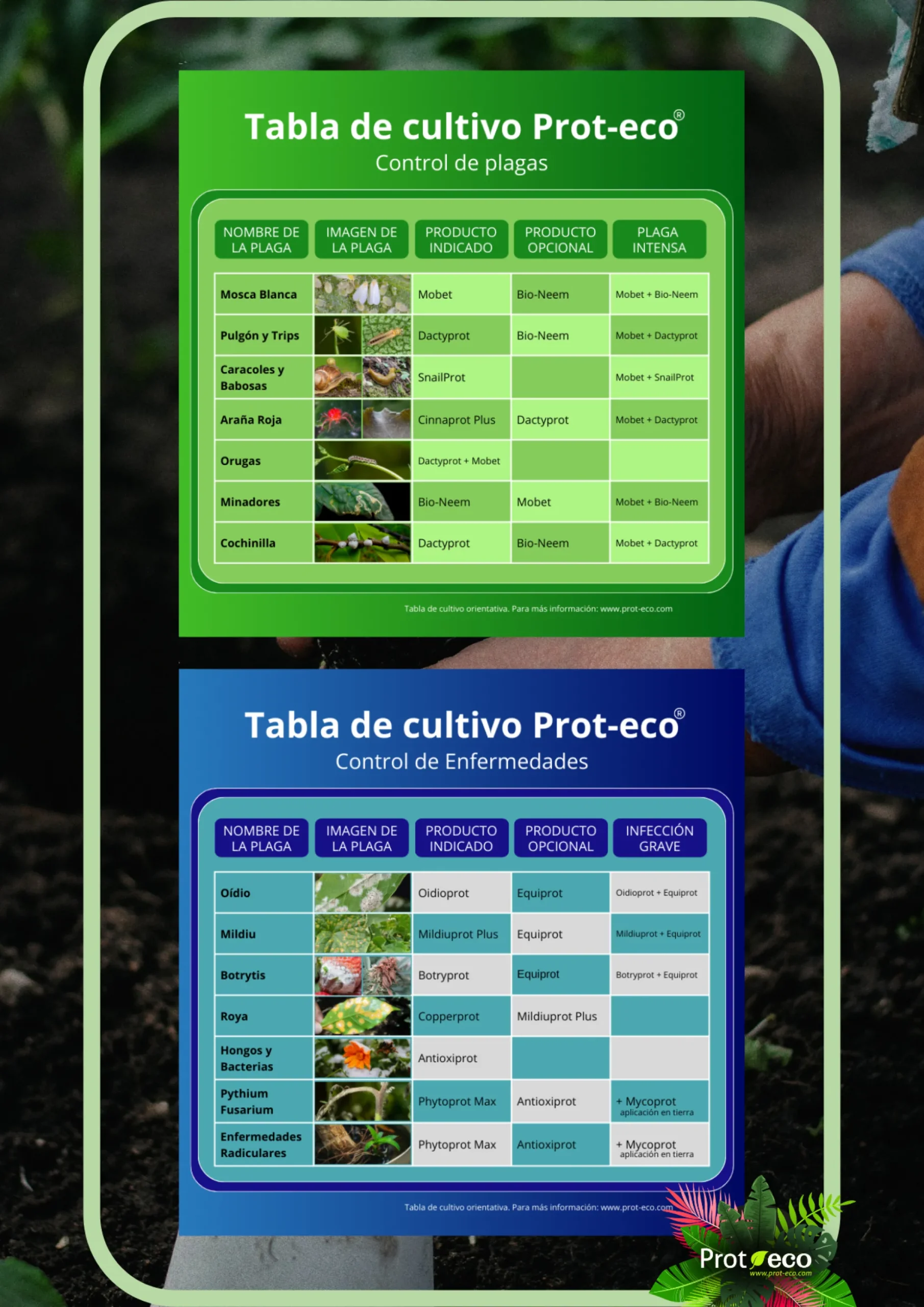 Aceite de neem ecológico para plantas Bio Neem Prot-eco 100 ml + pipeta dosificadora 5 ml gratis