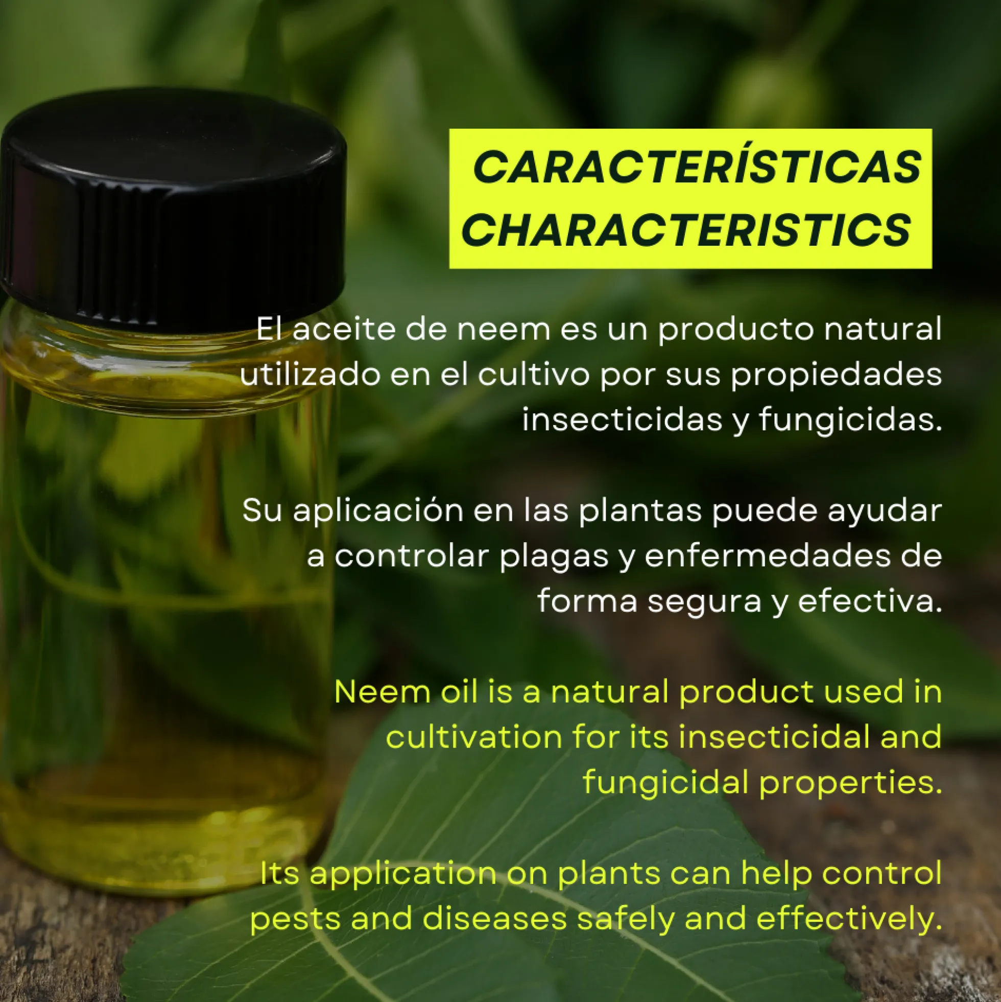 Aceite de neem ecológico para plantas Bio Neem Prot-eco 100 ml + pipeta dosificadora 5 ml gratis