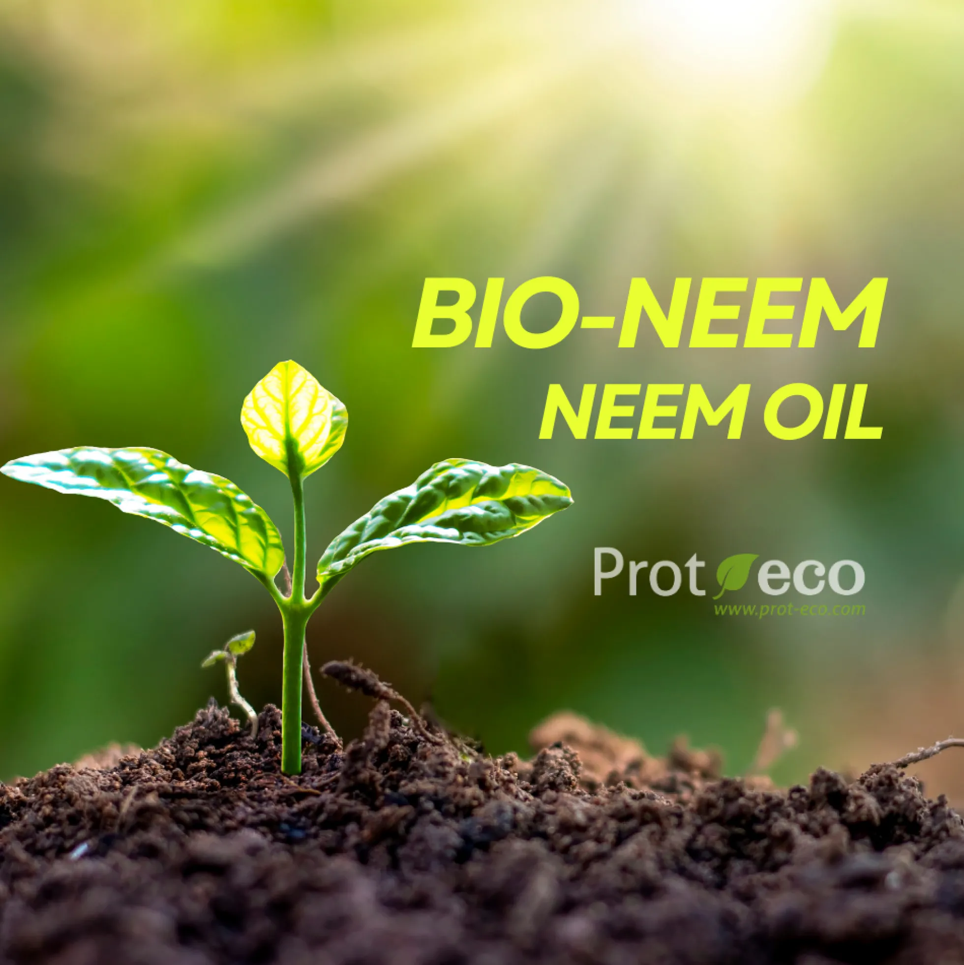 Aceite de neem ecológico para plantas Bio Neem Prot-eco 100 ml + pipeta dosificadora 5 ml gratis