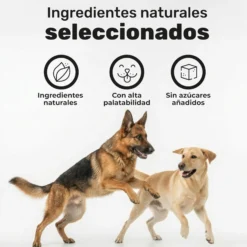 Aceite De Salmón Para Perros. Piel Y Pelo. Suplemento Para Mascotas. 120 Masticables. Natuva Pets