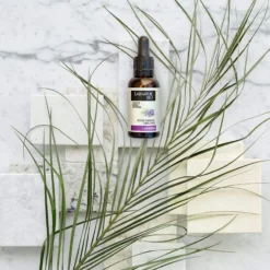 Aceite Esencial de Lavanda 100% Puro Labnatur Bio 30 ml | Piel, Masajes y Difusor | Aroma Relajante | Vegano