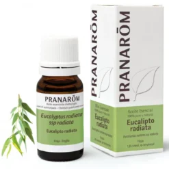 Aceite Esencial Eucalipto Radiata BIO Pranaróm 10 ml