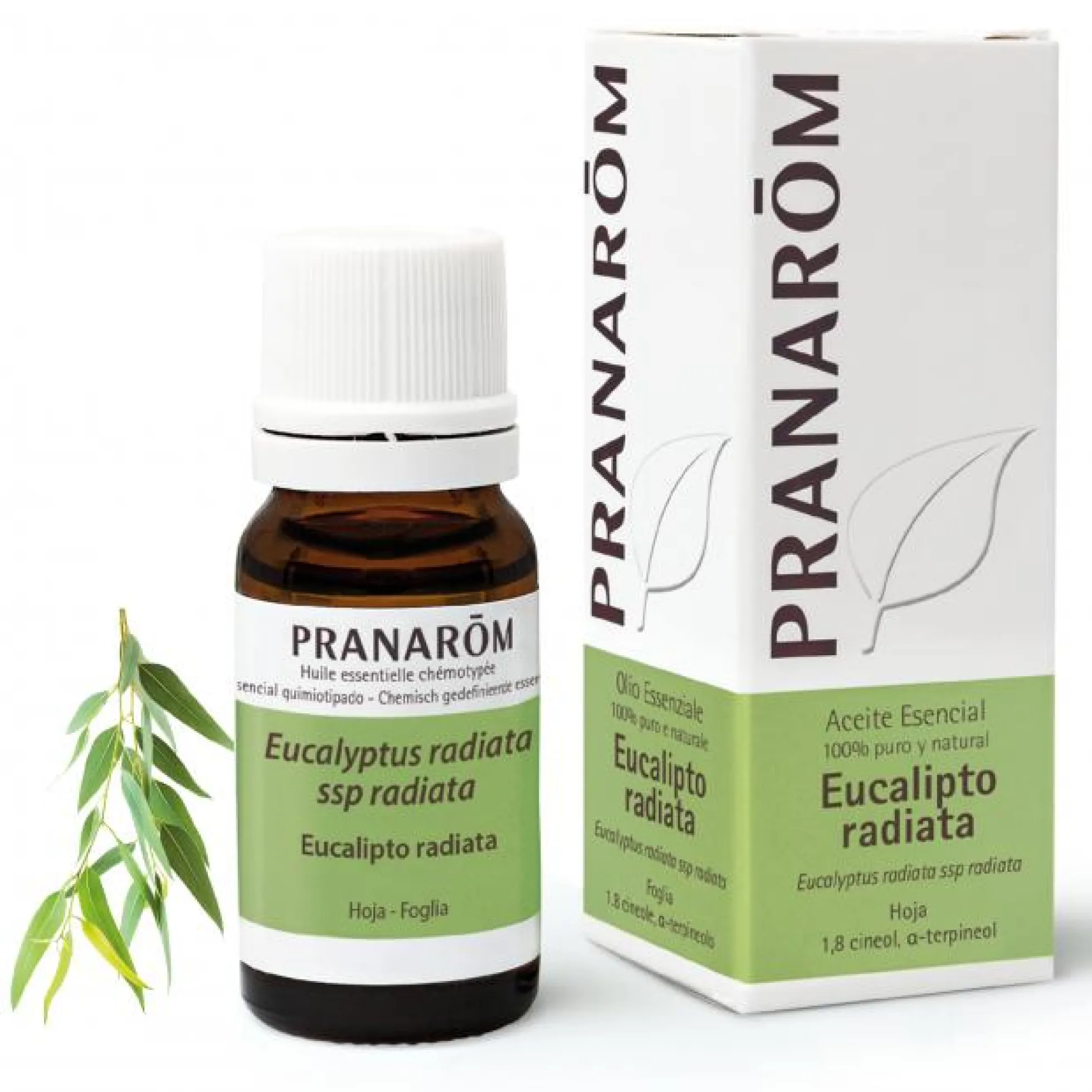 Aceite Esencial Eucalipto Radiata BIO Pranaróm 10 ml