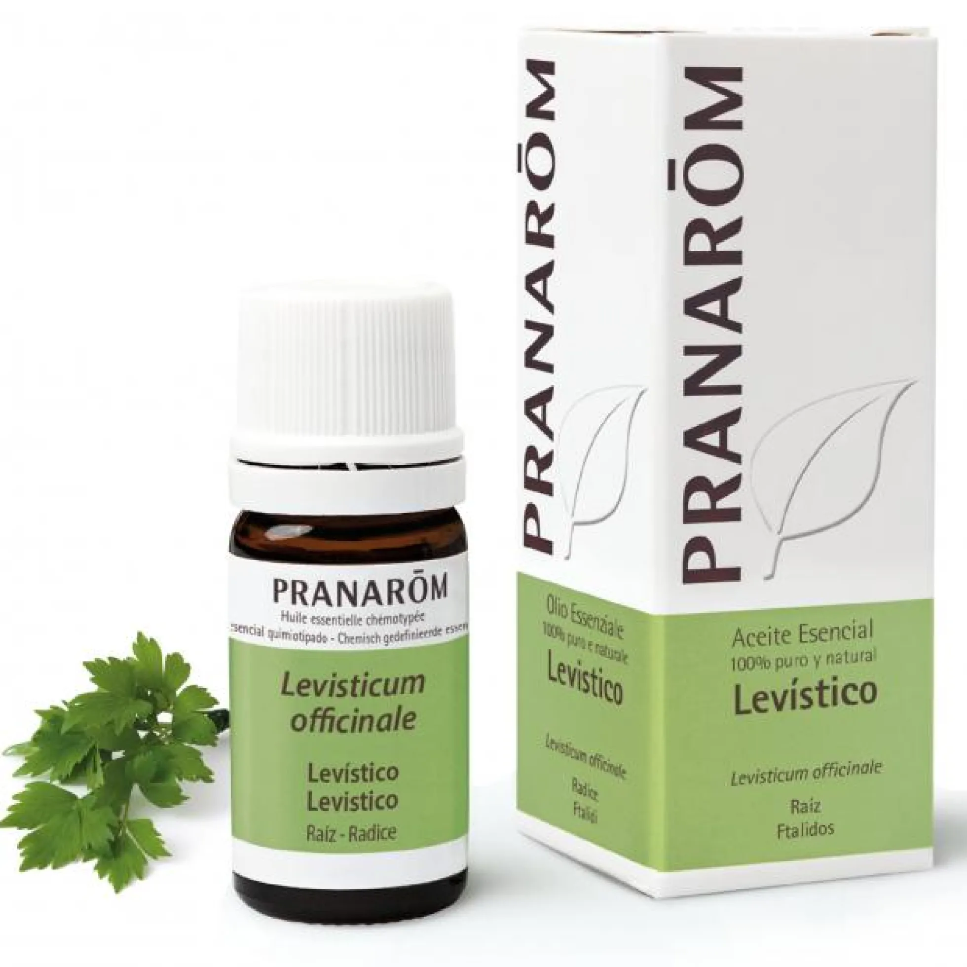 Aceite esencial levistico Raiz Pranarom 5 ml