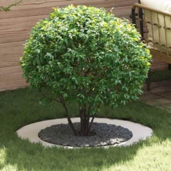 Adecuado Para Anillo De Árbol Plano Ø60/90 Cm Acero