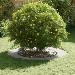 Adecuado Para Anillo De Árbol Plano Ø60/90 Cm Acero