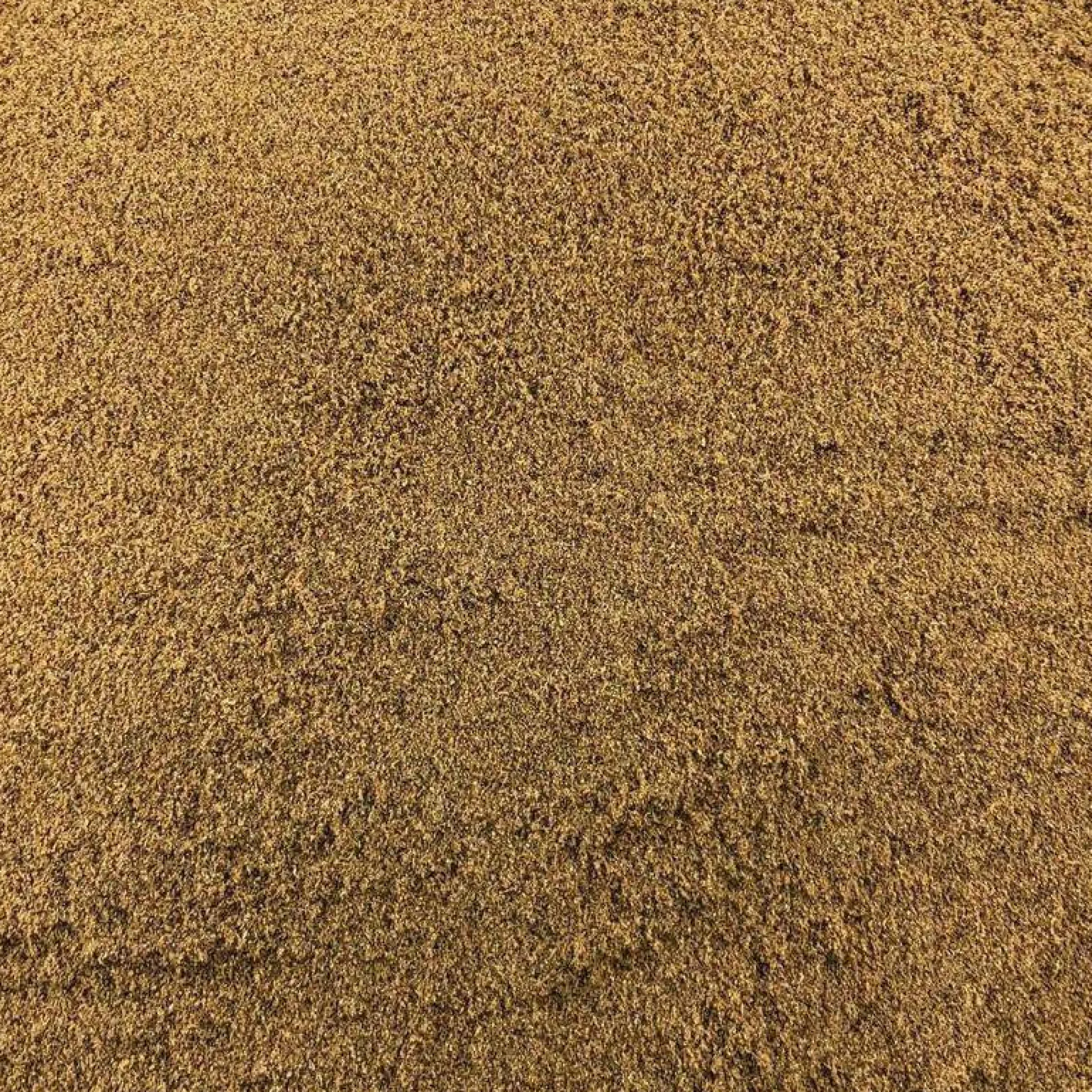 Alcaravea Orgánica En Polvo Granel 10 Kg
