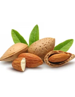Almendra Cruda Con Piel Bio - 500g