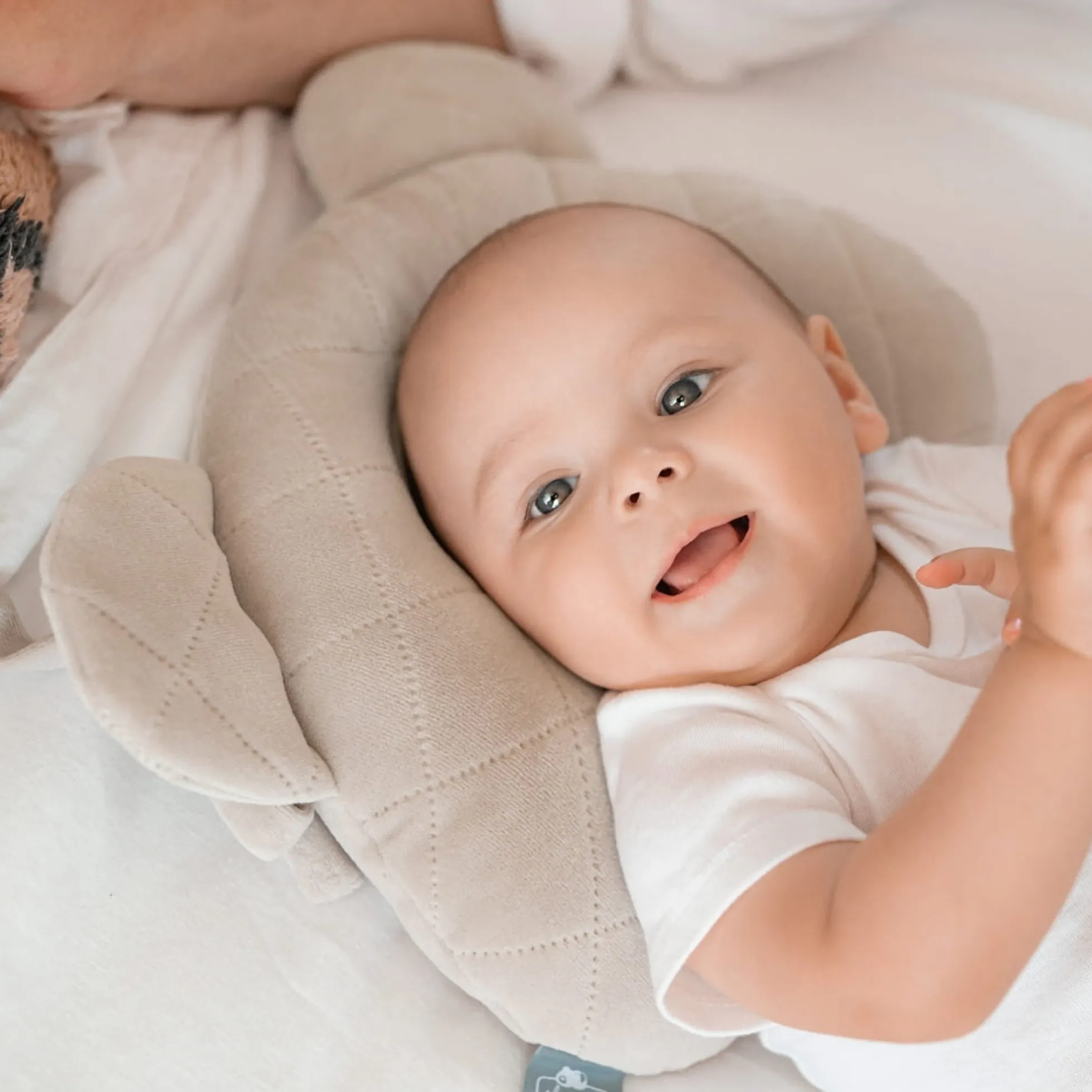 Almohada Cojin Plagiocefalia Bebés Royal Baby Sand