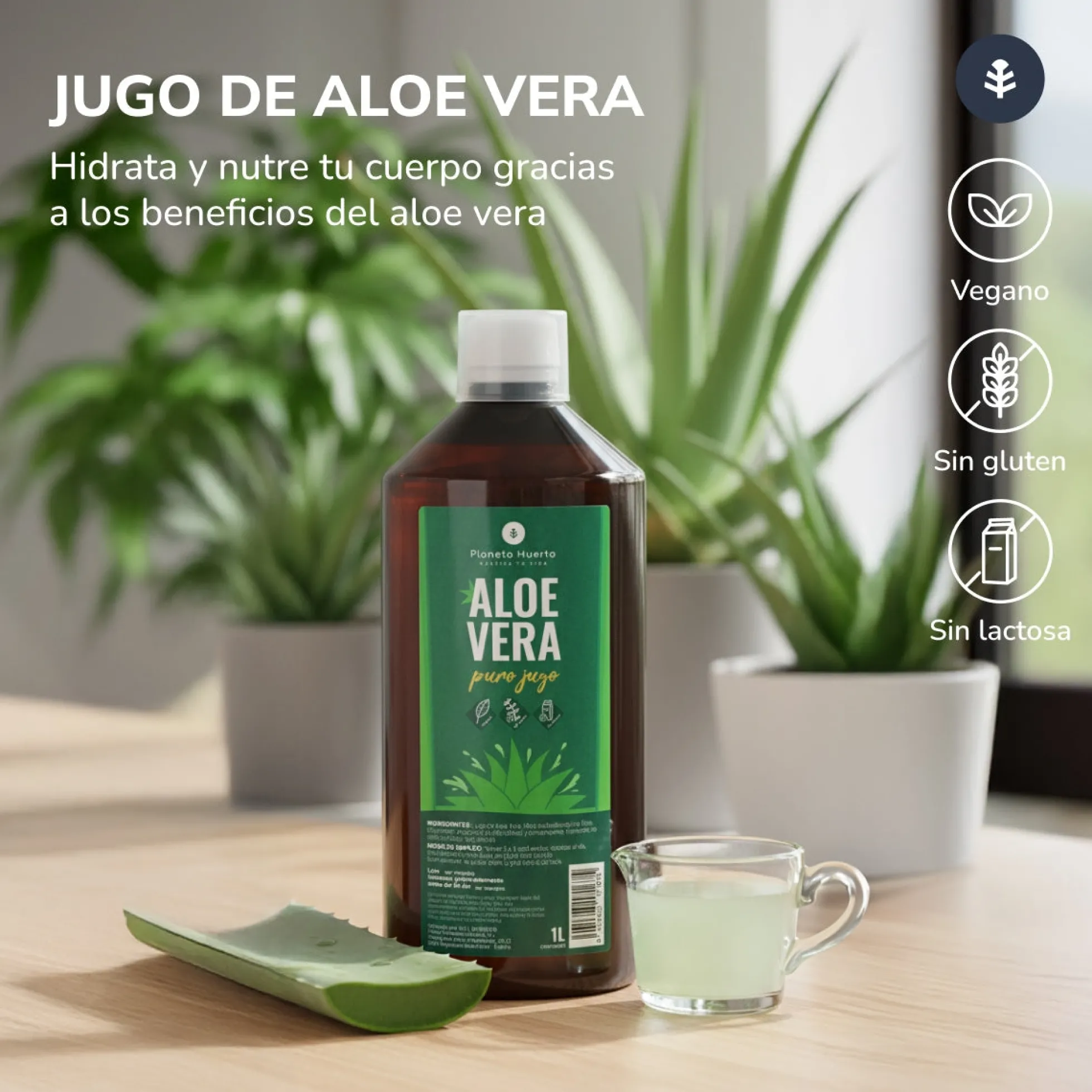 Aloe Vera Jugo Planeta Huerto 1 L
