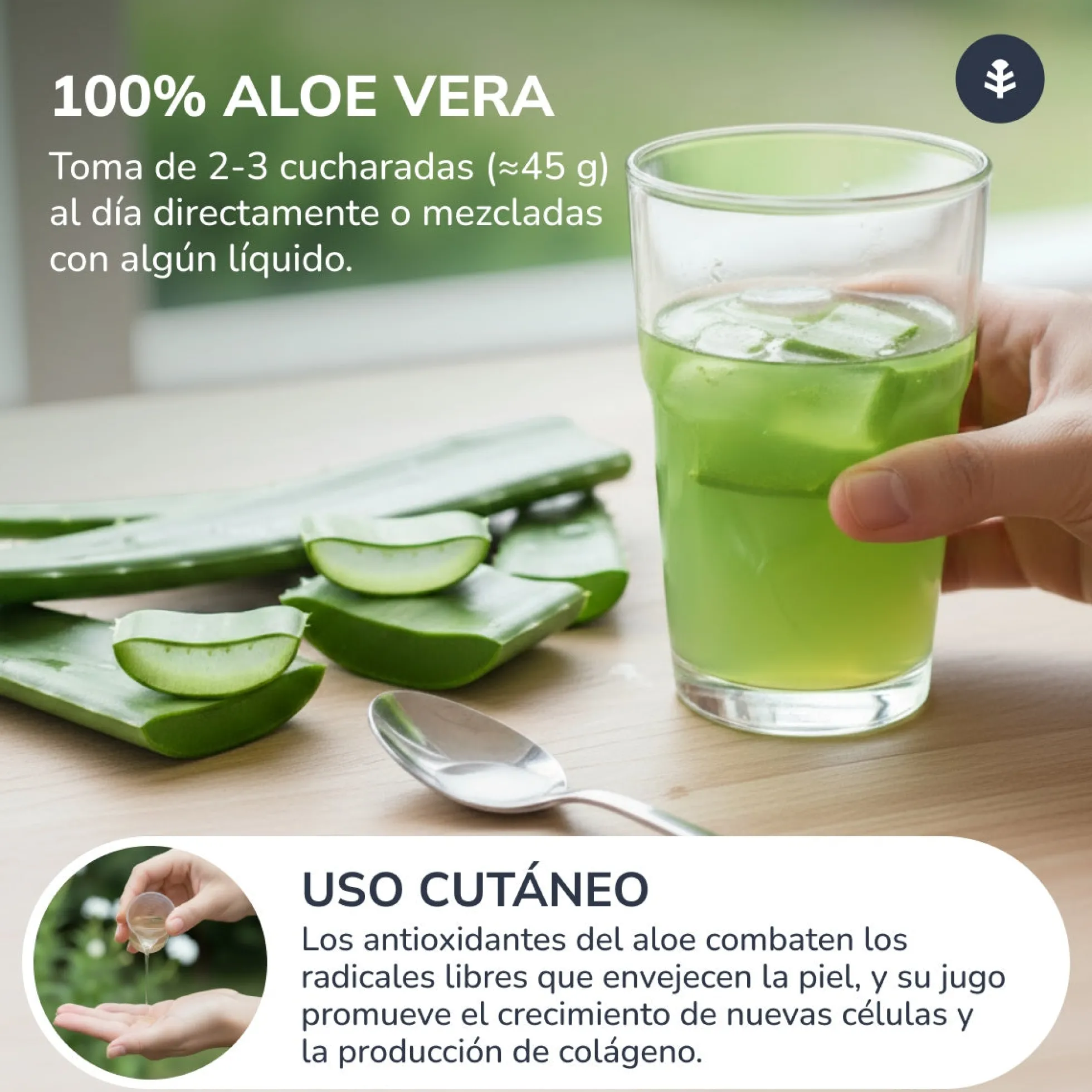 Aloe Vera Jugo Planeta Huerto 1 L