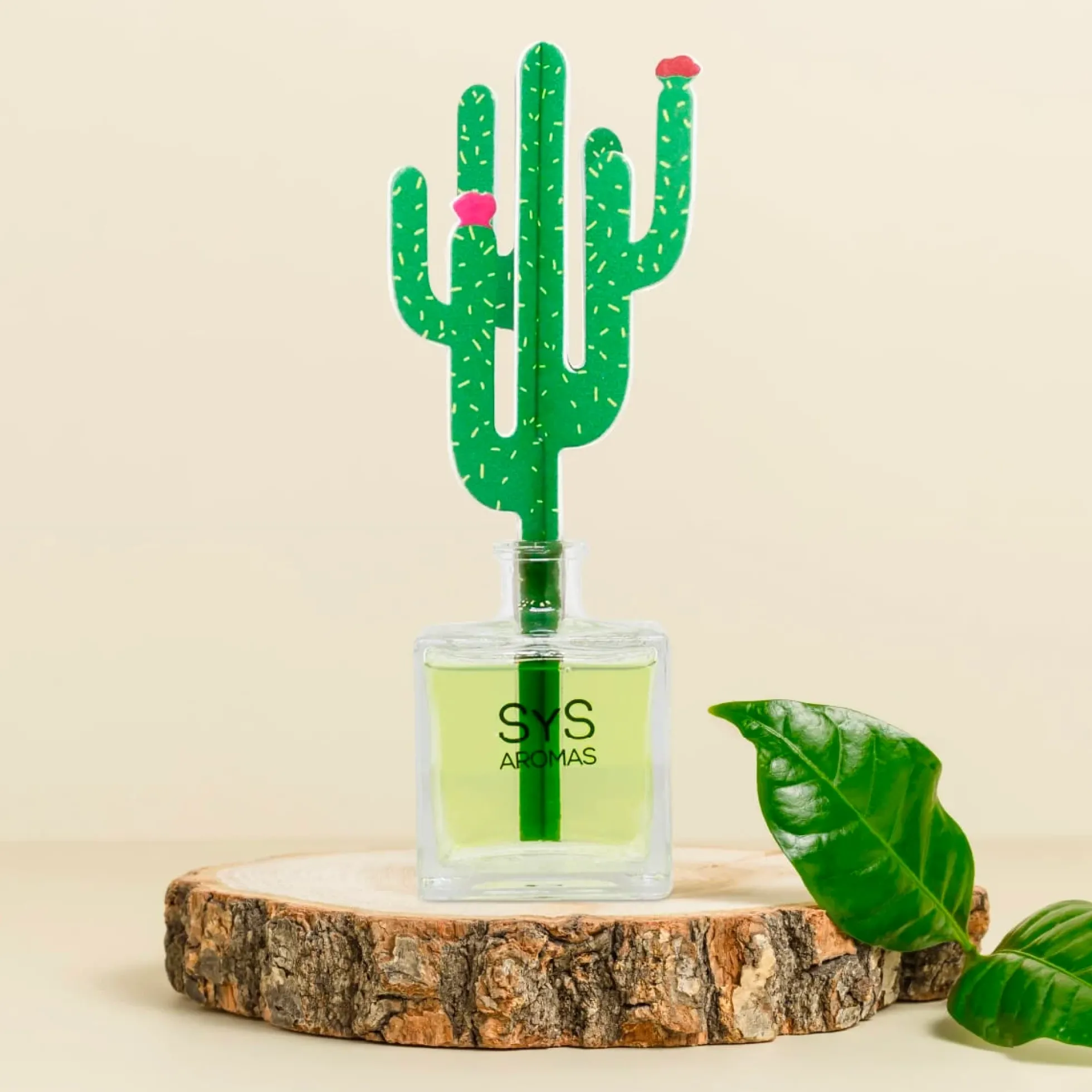 Ambientador Difusor Cactus Aloe Vera-Bambú Deco Diffuser SYS Aromas 90 ml | Aroma Fresco y Herbal | Relajante