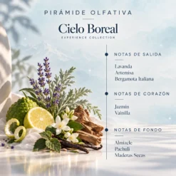 Ambientador Mikado Cielo Boreal Experience SYS Aromas 100 ml | Aroma Amaderado y Dulce | Sofisticado
