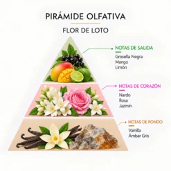 Ambientador Mikado Flor de Loto Mármol SYS Aromas 220 ml | Aroma Floral y Oriental | Calmante