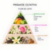 Ambientador Mikado Flor de Loto SYS Aromas 50 ml | Aroma Floral y Oriental | Calmante