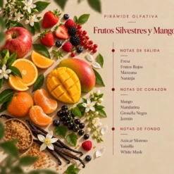 Ambientador Mikado Frutos Silvestres y Mango Botanical SYS Aromas 100 ml | Afrutado y Tropical | Sin Alcohol