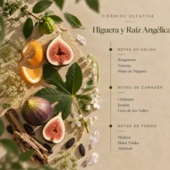 Ambientador Mikado Higuera y Raíz Angélica Botanical SYS Aromas 100 ml | Herbal y Afrutado | Sin Alcohol