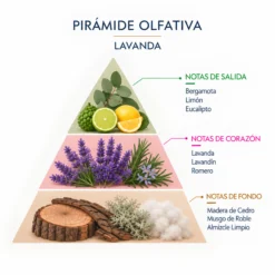 Ambientador Mikado Lavanda SYS Aromas 100 ml | Aroma Floral y Agreste | Relajante