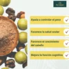 Amla En Polvo Bio | Samskara | Para Cabello Y Piel | Fuente Natural De Vitamina C, Colágeno Y Calcio - 1kg
