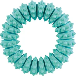 Anillo Denta Fun, Caucho Natural, Menta, 9cm,ø12cm