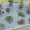 Antihierbas Agrosol 2,10x20 M Verde Nortene