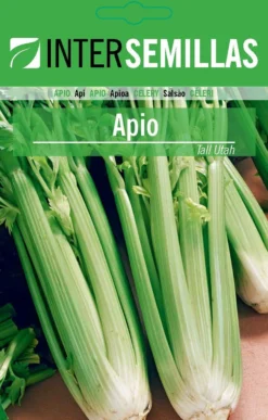 Apio Tall Utha Sobre De Semillas Cerrado