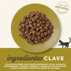 Applaws Cat Dry Pollo y Cordero 2 kg Pienso natural para gatos grain free