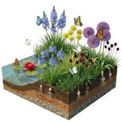 Aqua Bulbs Mezcla Para Mariposas - Especialmente Atractiva Para Mariposas