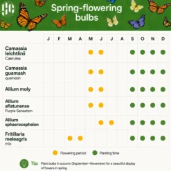 Aqua Bulbs Mezcla Para Mariposas - Especialmente Atractiva Para Mariposas