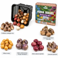Aqua Bulbs Mezcla Para Mariposas - Especialmente Atractiva Para Mariposas