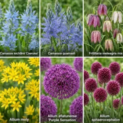Aqua Bulbs Mezcla Para Mariposas - Especialmente Atractiva Para Mariposas