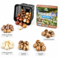 Aqua Bulbs Mezcla Silvestre - Flores Para Insectos Y Biodiversidad