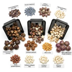 Aqua Bulbs Pack Fauna Silvestre - Mezcla Para Insectos Y Biodiversidad