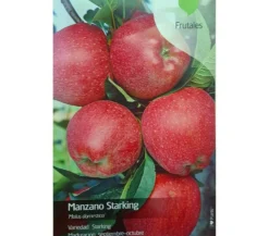 Arbol Frutal De Manzano Starking M22 130cm (manzana Roja)