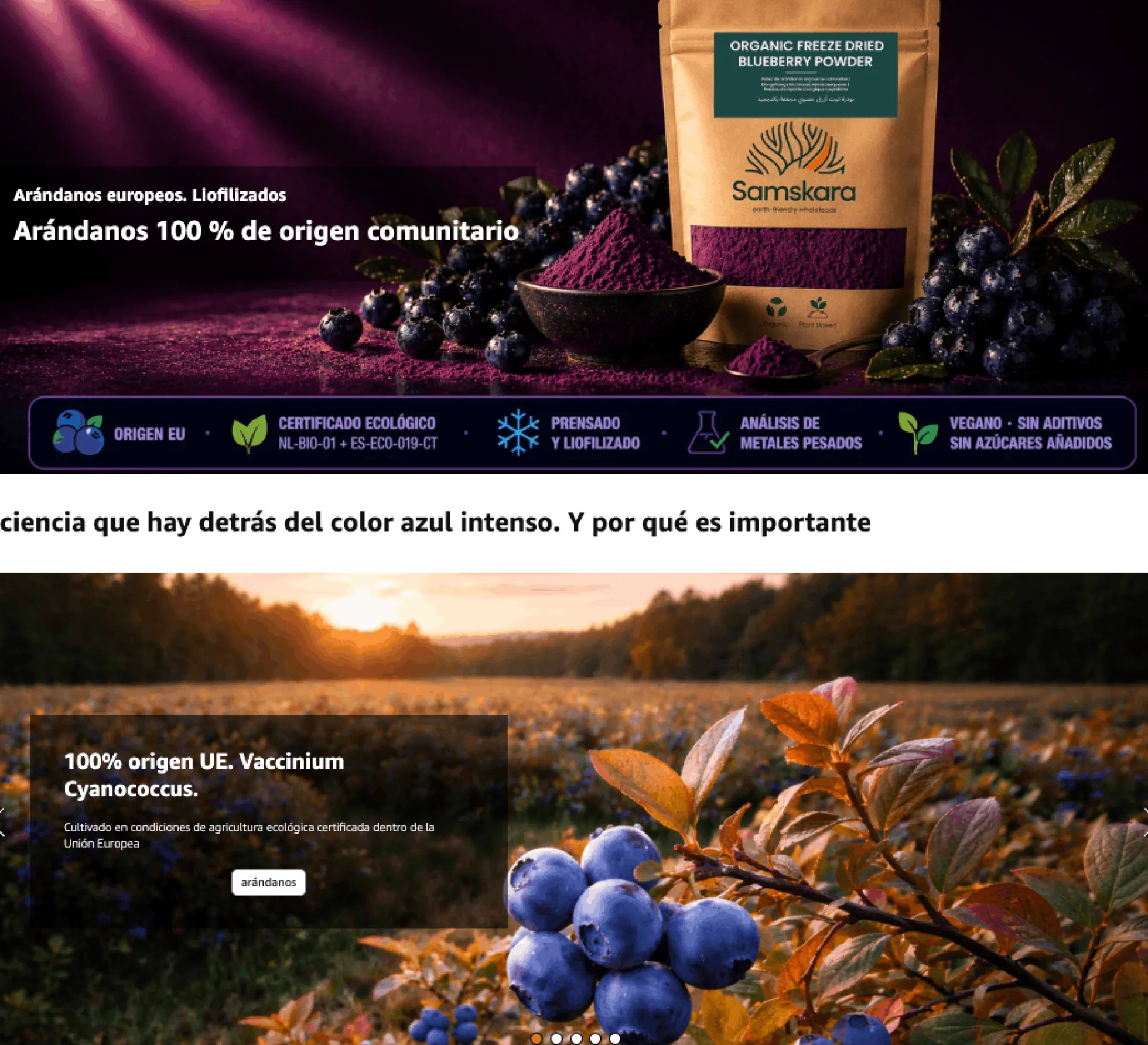 Arándano Nórdico En Polvo Bio - 150g | Fruta Deshidratada Ecológica, Snack Vegano Natural Sin Azúcares Añadidos