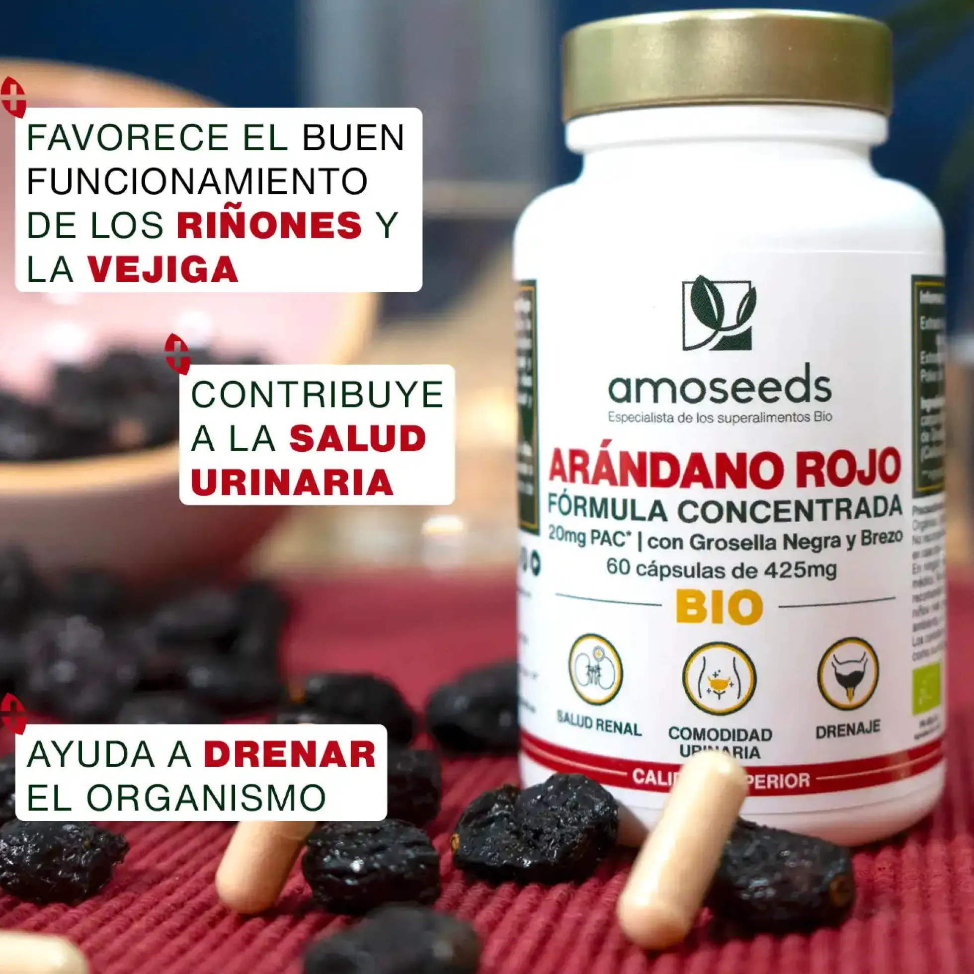 Arándano Rojo Bio, Fórmula Con Grosella Negra Y Brezo | 60 Cápsulas