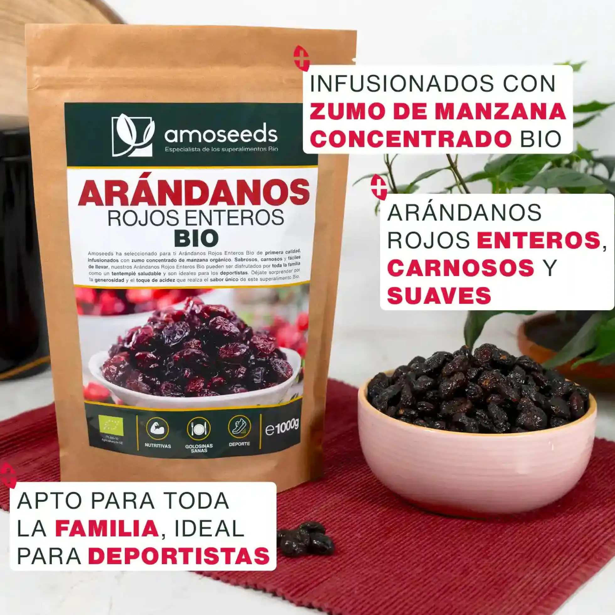 Arándanos Rojos Enteros Bio 1kg