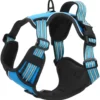 Arnés Para Perros Con Bandas Reflectantes Ajustables Azul L