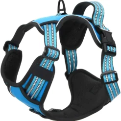Arnés Para Perros Con Bandas Reflectantes Ajustables Azul L