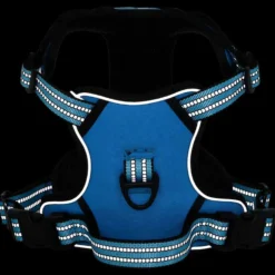 Arnés Para Perros Con Bandas Reflectantes Ajustables Azul L