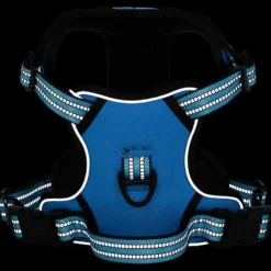 Arnés Para Perros Con Bandas Reflectantes Ajustables Azul Xl