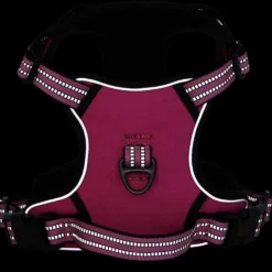 Arnés Para Perros Con Correa Y Collar Ajustable Rosa L