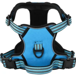 Arnés Para Perros Con Correa Y Collar Ajustable Azul L
