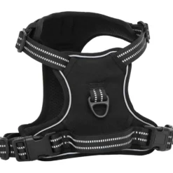 Arnés Para Perros Con Correa Y Collar Ajustable Negro M